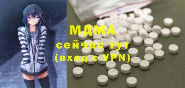 молекула духа Ельня