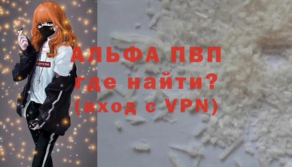 молекула духа Ельня