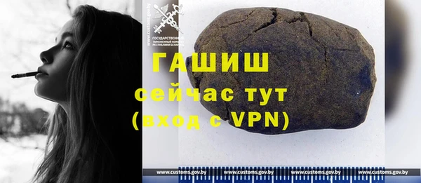 прущие грибы Елабуга