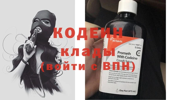 твердый Заводоуковск