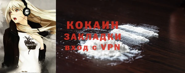 твердый Заводоуковск