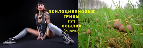 молекула духа Ельня