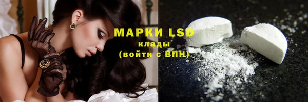 прущие грибы Елабуга
