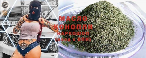 молекула духа Ельня