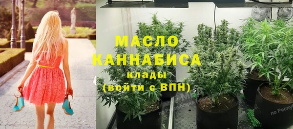 прущие грибы Елабуга