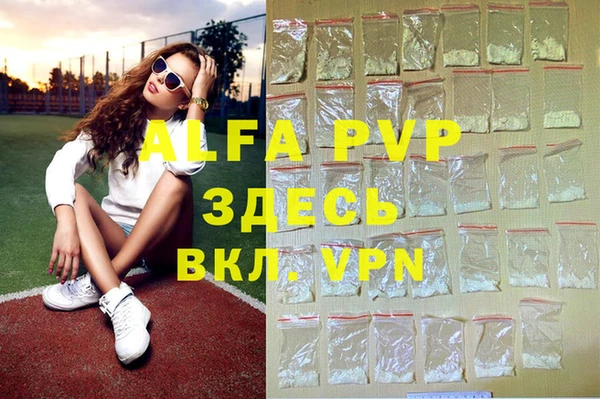 прущие грибы Елабуга