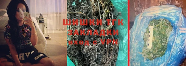 прущие грибы Елабуга