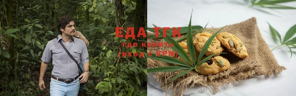 прущие грибы Елабуга