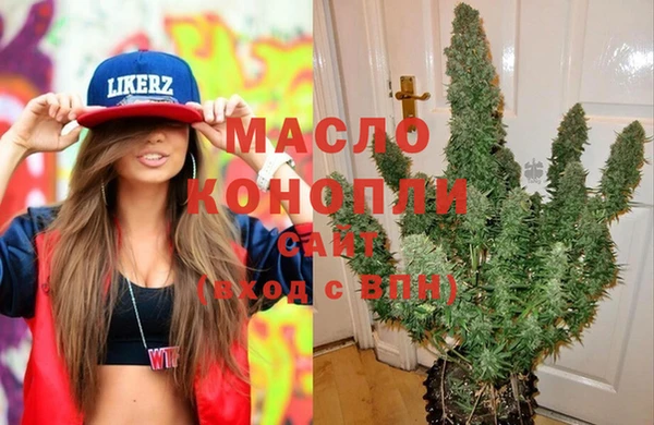 твердый Заводоуковск