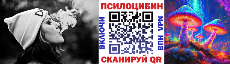 Купить  Иннополис  Псилоцибиновые грибы MAGIC MUSHROOMS 
