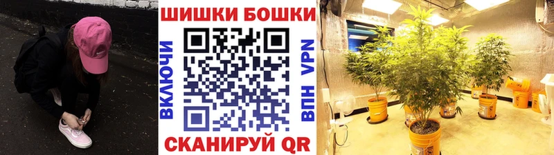 Бошки марихуана планчик  Купить закладки  Иннополис 